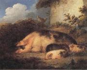 George Morland A Sow and Her Piglets France oil painting artist